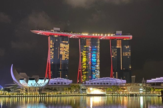 COVID Reflections: A View from Singapore